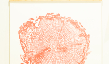 print of tree rings